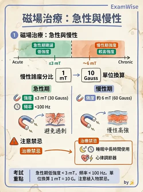 物治 - 物理因子特殊應用 - AI 圖文解析預覽