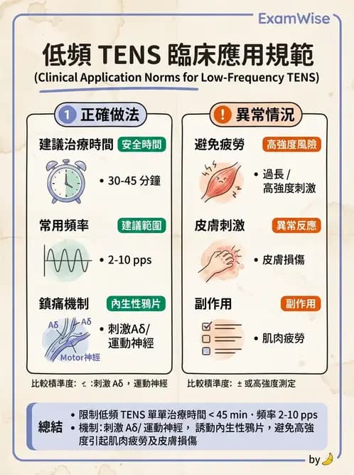 物治 - 經皮電刺激與電療基礎 - AI 圖文解析預覽