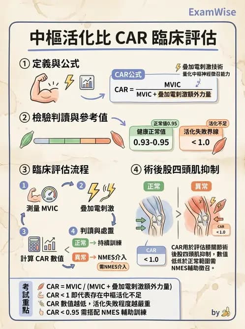 物治 - 神經肌肉電刺激 - AI 圖文解析預覽