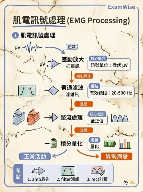 物治 - 肌電生物回饋 - AI 圖文解析預覽