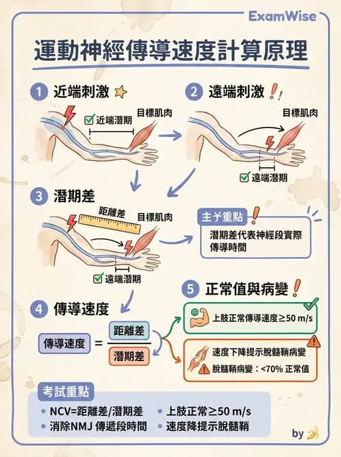 物治 - 電生理診斷 - AI 圖文解析預覽