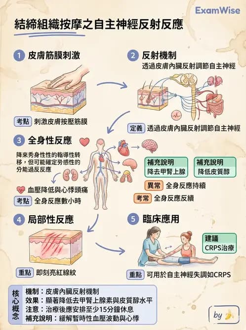 物治 - 深層摩擦按摩與結締組織技術 - AI 圖文解析預覽