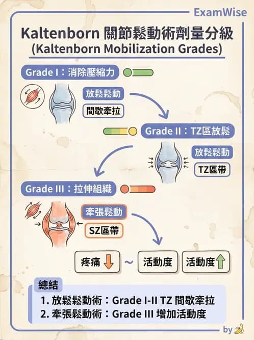物治 - 鬆動術分級理論 - AI 圖文解析預覽
