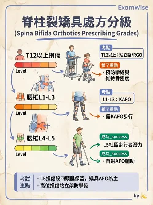 物治 - 裝具與矯具 - AI 圖文解析預覽