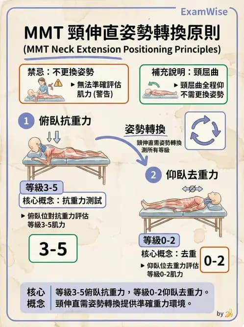 物治 - MMT通則、頭頸與軀幹 - AI 圖文解析預覽