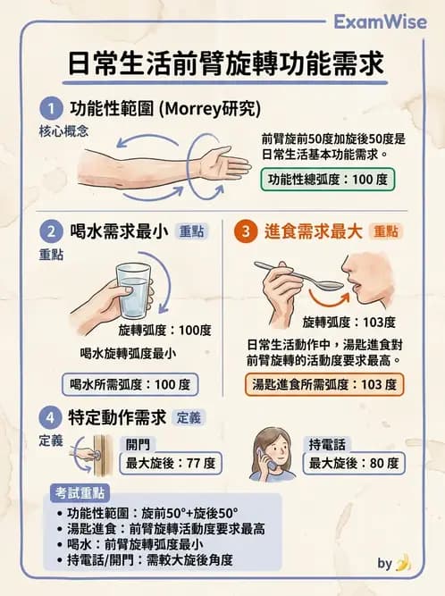 物治 - 上肢關節活動度 - AI 圖文解析預覽