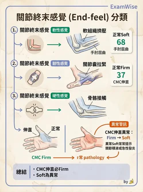 物治 - ROM通則與關節運動 - AI 圖文解析預覽