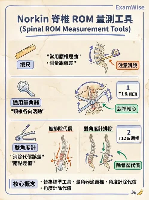 物治 - 下肢與脊椎關節活動度 - AI 圖文解析預覽