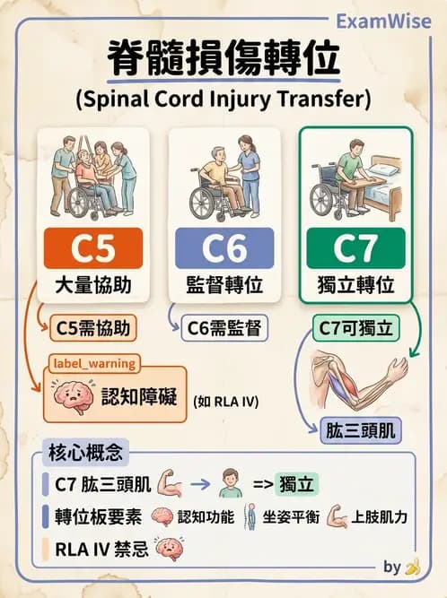 物治 - 轉位技巧 - AI 圖文解析預覽