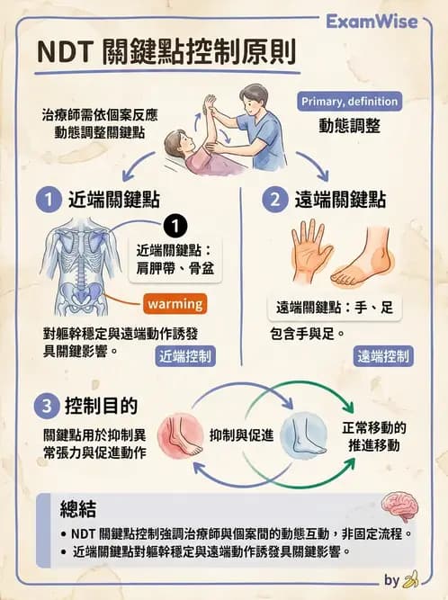物治 - 神經治療學派技術 - AI 圖文解析預覽