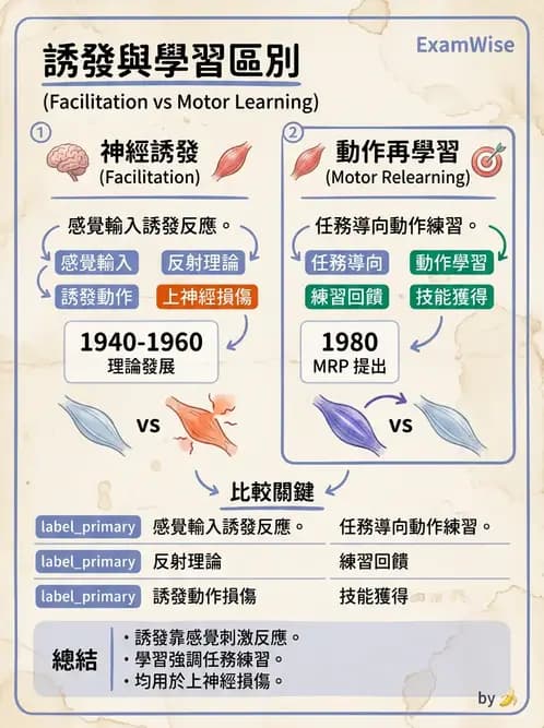 物治 - 神經治療學派技術 - AI 圖文解析預覽