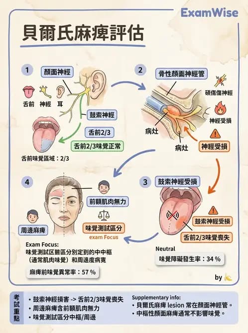 物治 - 神經肌肉疾病 - AI 圖文解析預覽