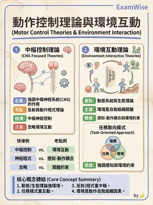 物治 - 動作控制理論 - AI 圖文解析預覽