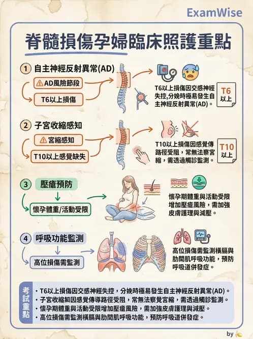 物治 - SCI併發症與呼吸管理 - AI 圖文解析預覽