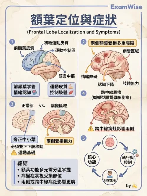 物治 - 運動神經元疾病與其他中樞疾病 - AI 圖文解析預覽