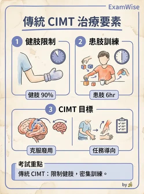物治 - 腦中風上肢肩部與體適能 - AI 圖文解析預覽