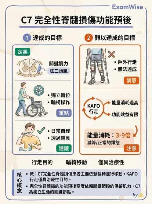 物治 - SCI功能預後與復健訓練 - AI 圖文解析預覽
