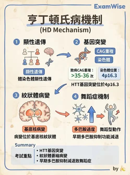 物治 - 運動神經元疾病與其他中樞疾病 - AI 圖文解析預覽