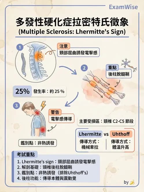 物治 - 多發性硬化症物理治療 - AI 圖文解析預覽