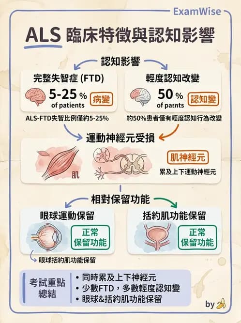 物治 - 運動神經元疾病與其他中樞疾病 - AI 圖文解析預覽
