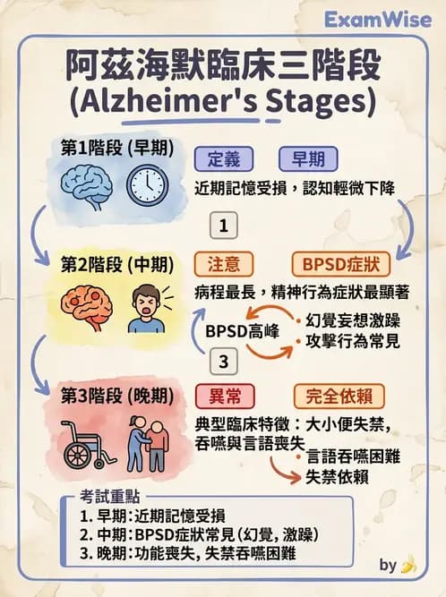物治 - 失智症與認知退化 - AI 圖文解析預覽