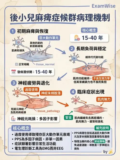 物治 - 神經肌肉疾病 - AI 圖文解析預覽