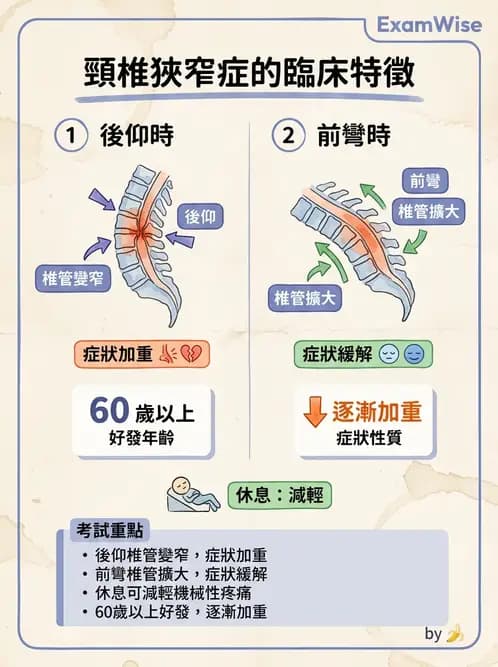 物治 - 頸椎評估與病理 - AI 圖文解析預覽