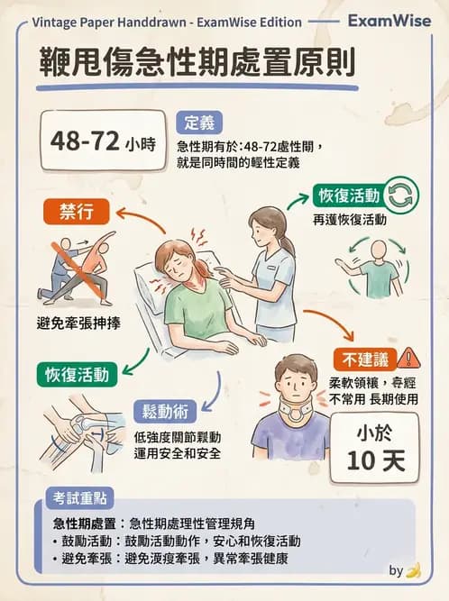 物治 - 頸椎評估與病理 - AI 圖文解析預覽