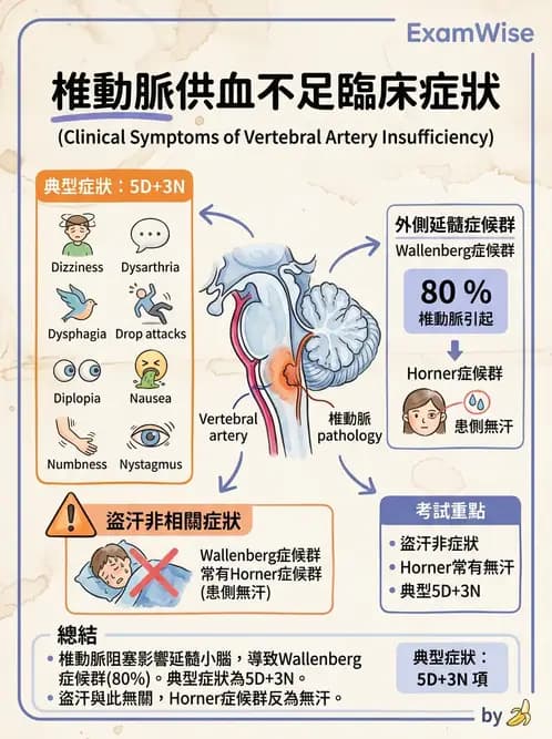 物治 - 頸椎評估與病理 - AI 圖文解析預覽