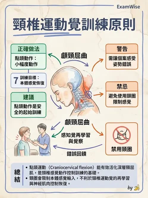 物治 - 頸椎評估與病理 - AI 圖文解析預覽