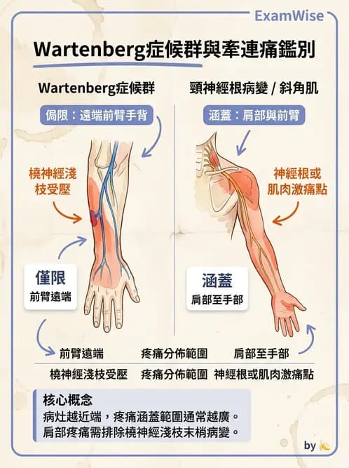 物治 - 頸椎評估與病理 - AI 圖文解析預覽