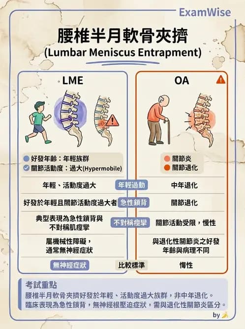 物治 - 腰椎椎間盤與脊椎狹窄 - AI 圖文解析預覽