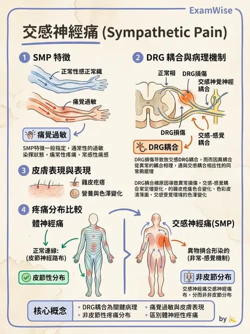 物治 - 腰椎椎間盤與脊椎狹窄 - AI 圖文解析預覽
