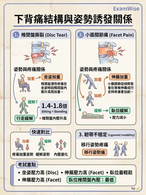物治 - 腰椎椎間盤與脊椎狹窄 - AI 圖文解析預覽