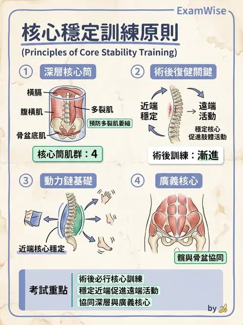 物治 - 腰椎穩定訓練與治療原則 - AI 圖文解析預覽