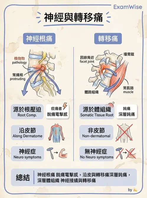 物治 - 腰椎椎間盤與脊椎狹窄 - AI 圖文解析預覽