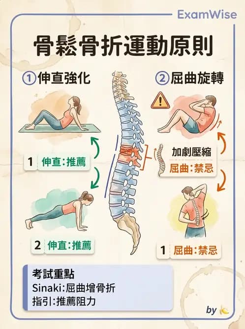 物治 - 女性健康 - AI 圖文解析預覽