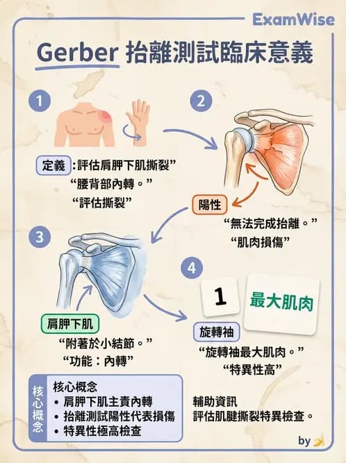 物治 - 肩關節夾擠與旋轉肌袖 - AI 圖文解析預覽