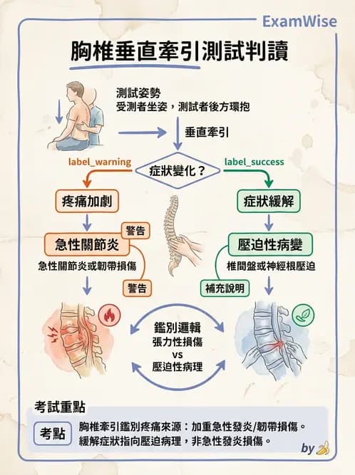 物治 - 胸椎與肋骨 - AI 圖文解析預覽