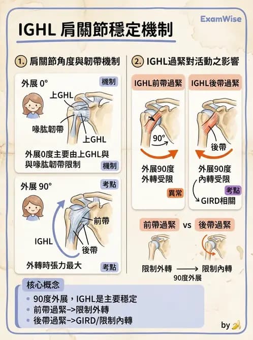物治 - 冰凍肩與胸廓出口症候群 - AI 圖文解析預覽