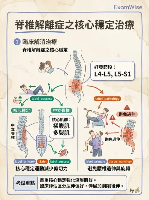 物治 - 腰椎穩定訓練與治療原則 - AI 圖文解析預覽