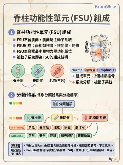 物治 - 腰椎椎間盤與脊椎狹窄 - AI 圖文解析預覽