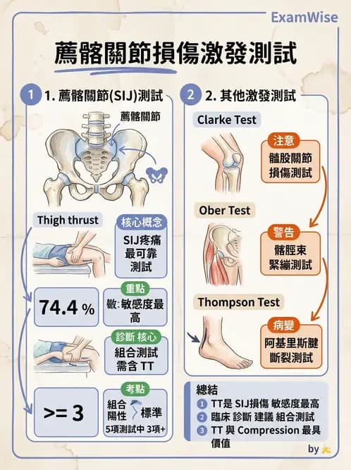 物治 - 薦髂關節評估與治療 - AI 圖文解析預覽