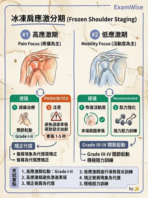 物治 - 冰凍肩與胸廓出口症候群 - AI 圖文解析預覽