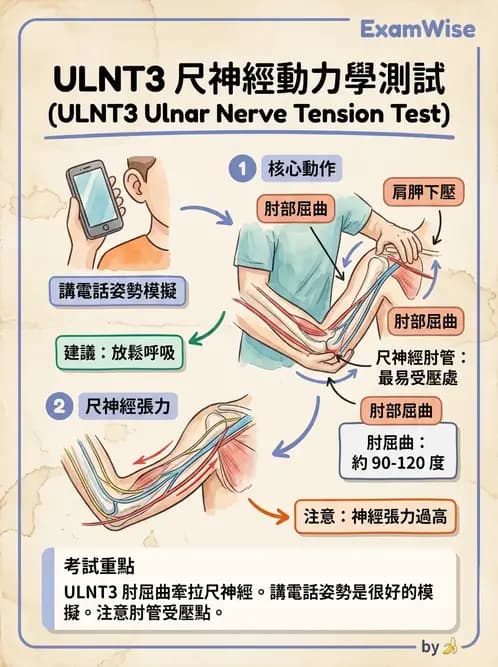 物治 - 肘及前臂關節 - AI 圖文解析預覽