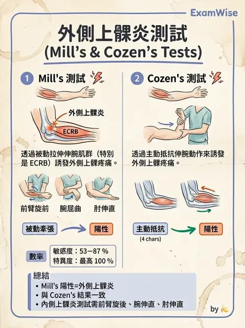 物治 - 肘及前臂關節 - AI 圖文解析預覽