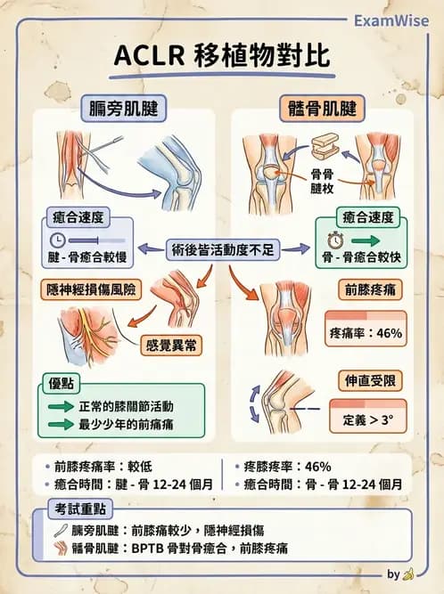 物治 - 膝關節韌帶與半月板損傷 - AI 圖文解析預覽