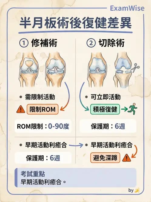 物治 - 膝關節韌帶與半月板損傷 - AI 圖文解析預覽