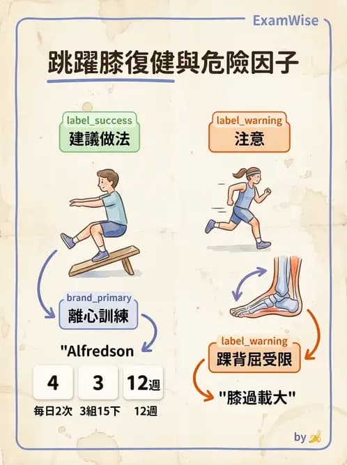 物治 - 髕股關節疼痛與伸展機制 - AI 圖文解析預覽