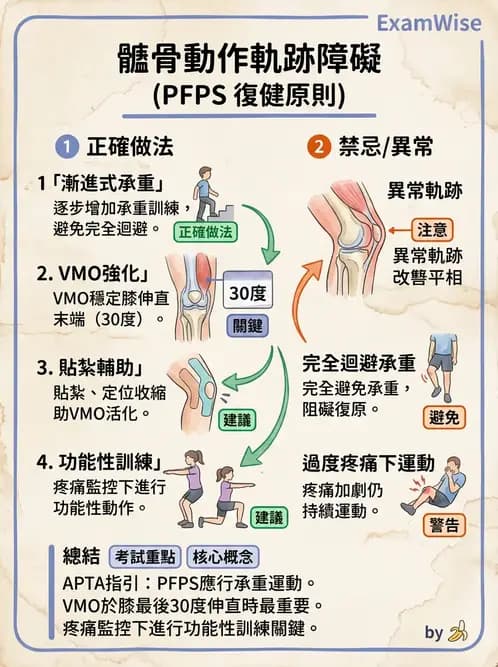 物治 - 髕股關節疼痛與伸展機制 - AI 圖文解析預覽